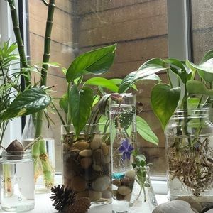 Meet your Posher, Hailey